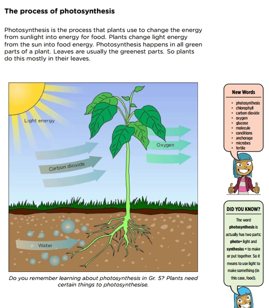 4 Natural Science & Technology Textbooks with Videos, Grades 4-6 - Best ...