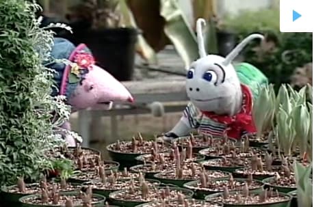 Count On It Episode 212 - Blossom and Snappy Go Gardening