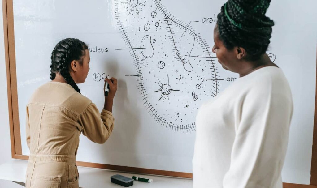 3 Free Grade 5 Science Units Living Systems, Chemistry & Matter, and Weather